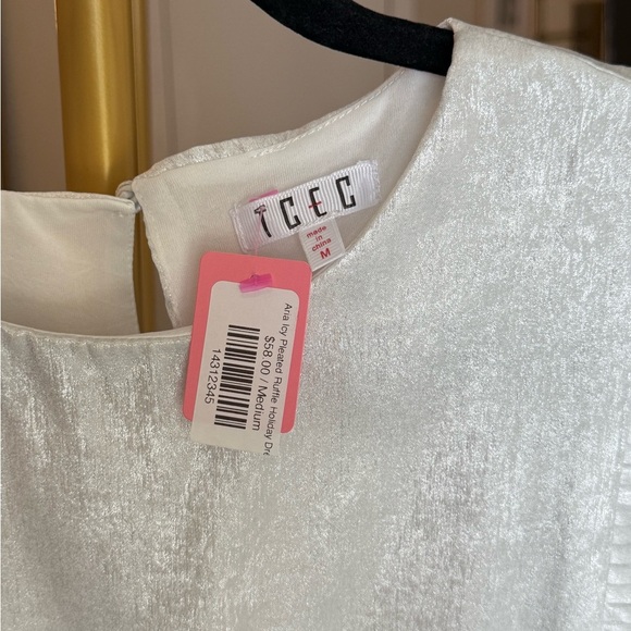 TCEC Shimmer Icy White Silver Pleated Ruffle Sleeveless Party Dress NWT- Size M - Picture 3 of 7